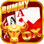 rummy goid icon